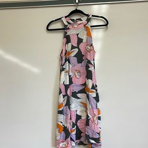 Fighting Eel Dress